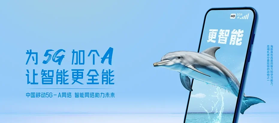 龙凤区龙凤区兴化街道 移动宽带